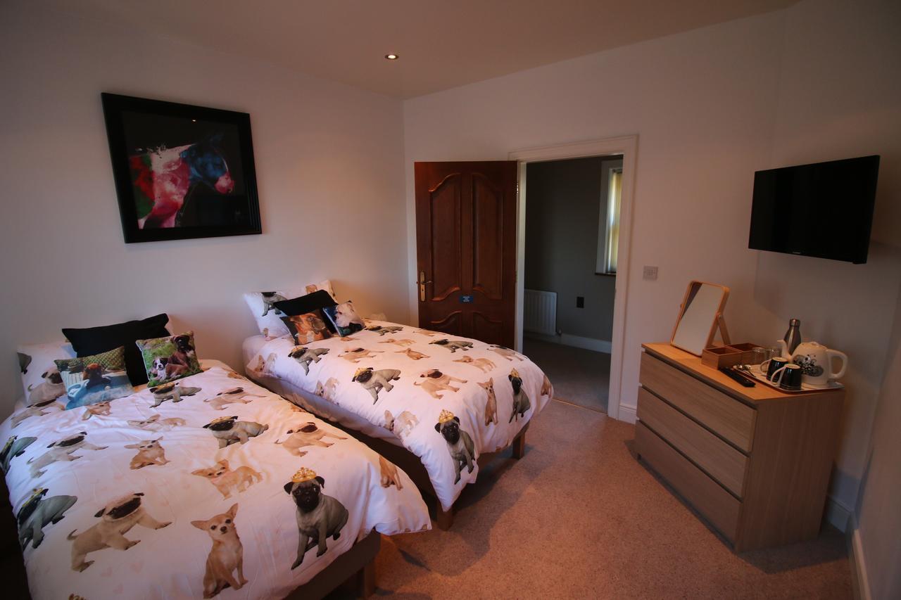 Feetnpaws Bed and Breakfast Portaferry Exterior foto